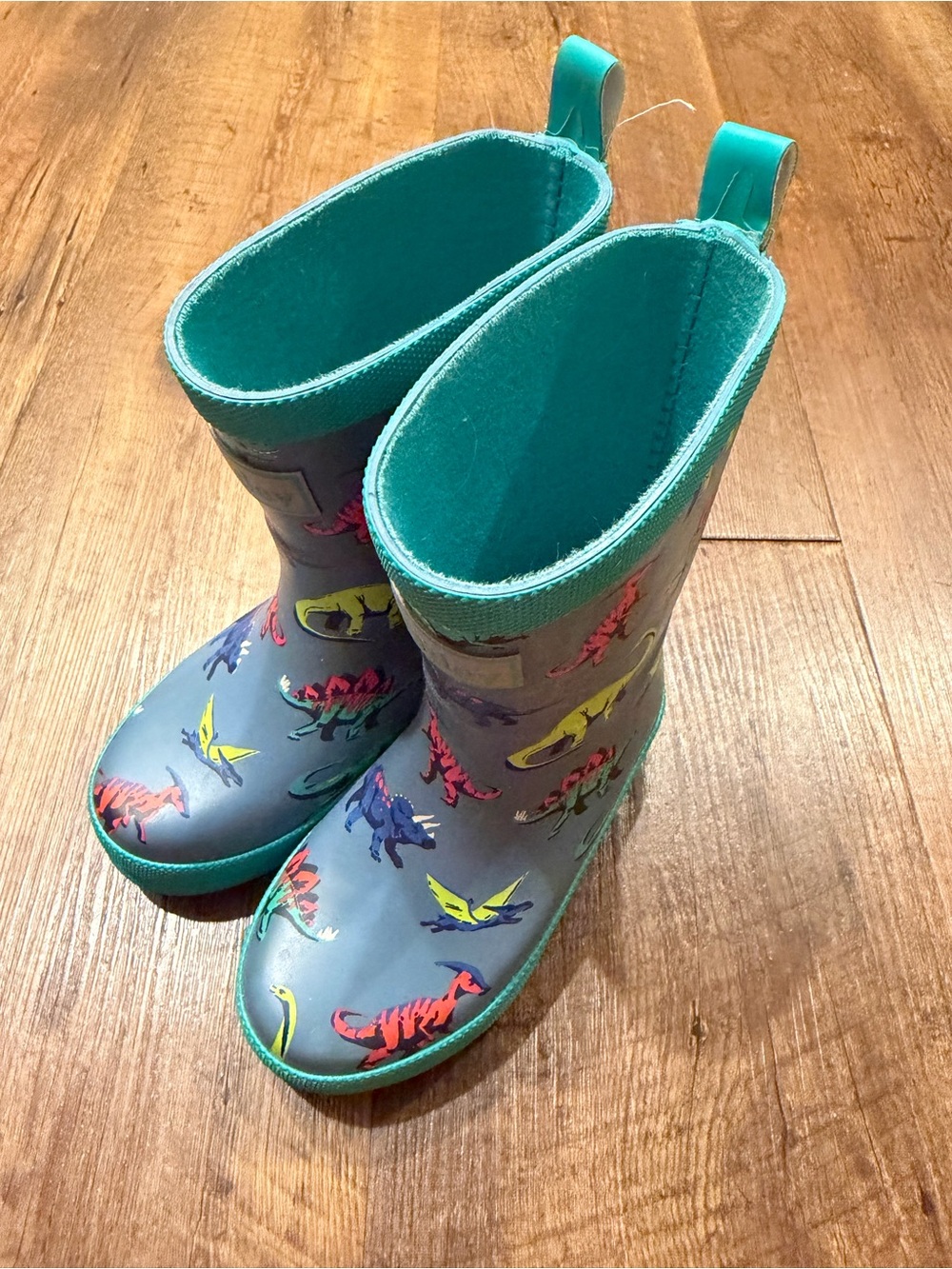 Hatley Dinosaur Rain Boots
